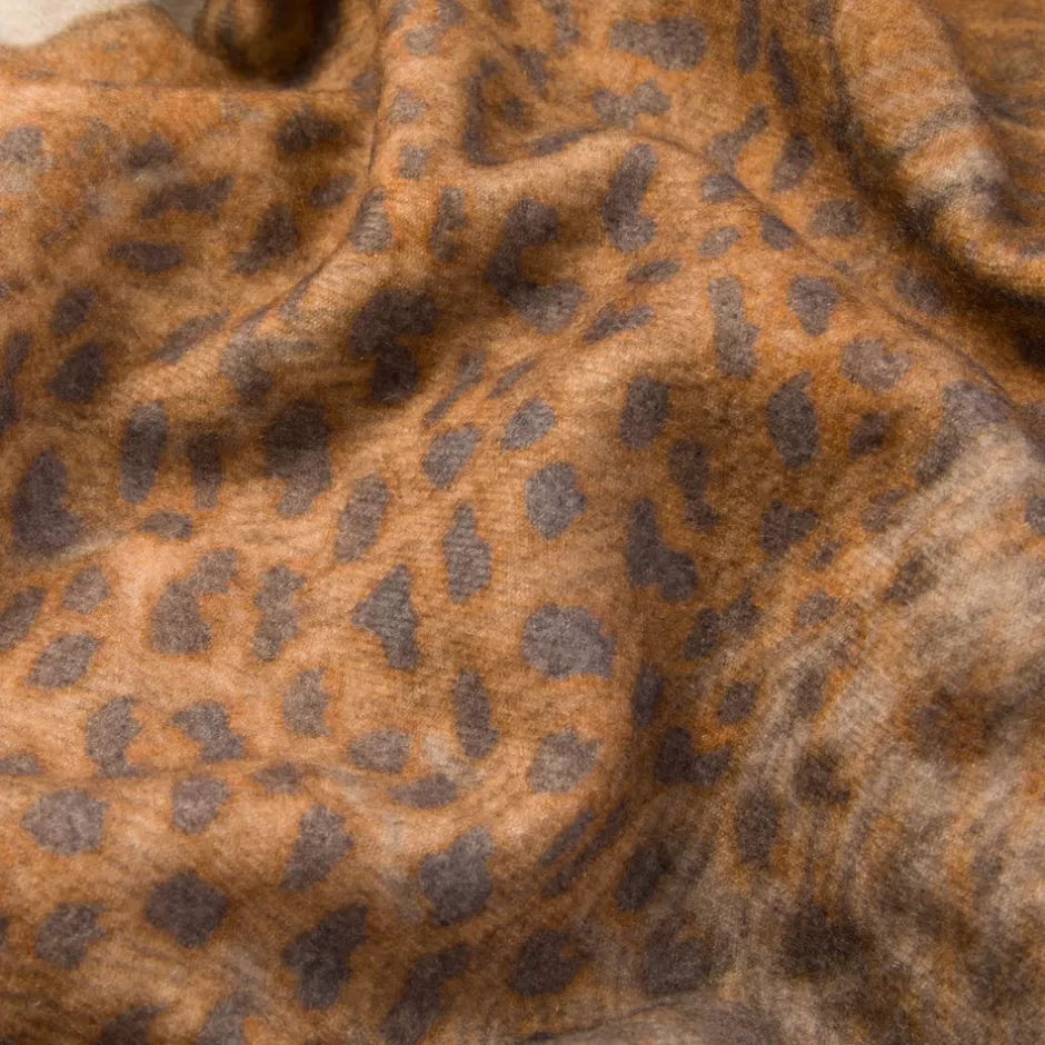 CASHMERE THROW | Stefano Ricci Best